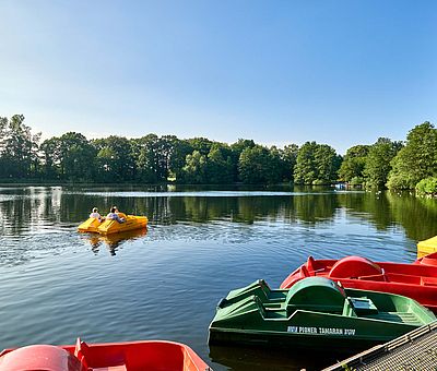 Die Osnabrücker Rund-Tour verknüpft einige der besten Ausflugsziele der Friedensstadt Osnabrück mit reizvollen Naturerlebnissen im UNESCO Natur- und Geopark TERRA.vita. Zu den Highlights der 48 km langen kompakten Radrundfahrt im Osnabrücker Land gehört auch der Rubbenbruchsee mit seinem Tretbootverleih.