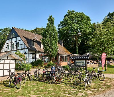 Die Osnabrücker Rund-Tour verknüpft einige der besten Ausflugsziele der Friedensstadt Osnabrück mit reizvollen Naturerlebnissen im UNESCO Natur- und Geopark TERRA.vita. Zu den Highlights der 48 km langen kompakten Radrundfahrt im Osnabrücker Land gehört auch das Café am Rubbenbruchsee.